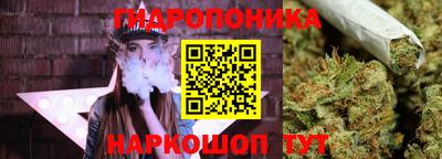 Альфа ПВП Пыть-Ях