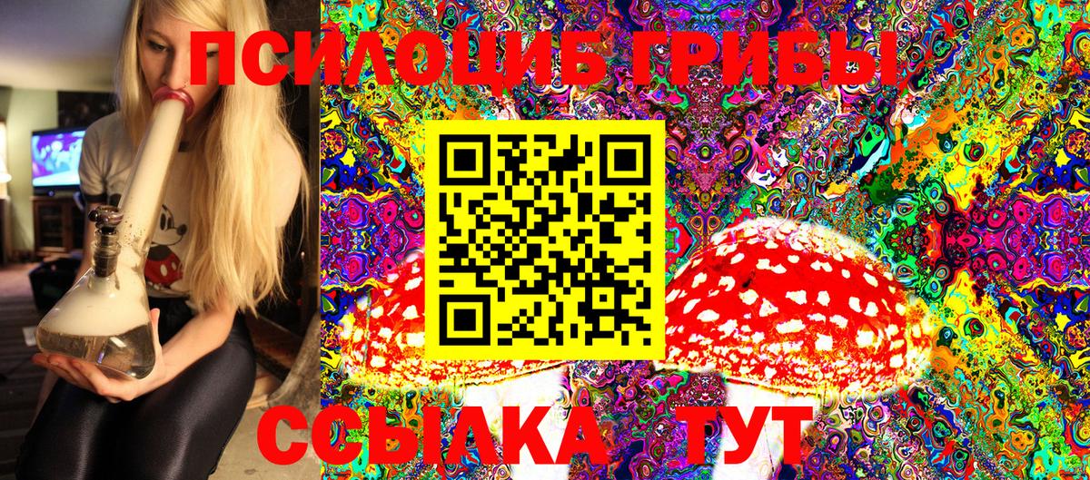 Галлюциногенные грибы мицелий Тосно