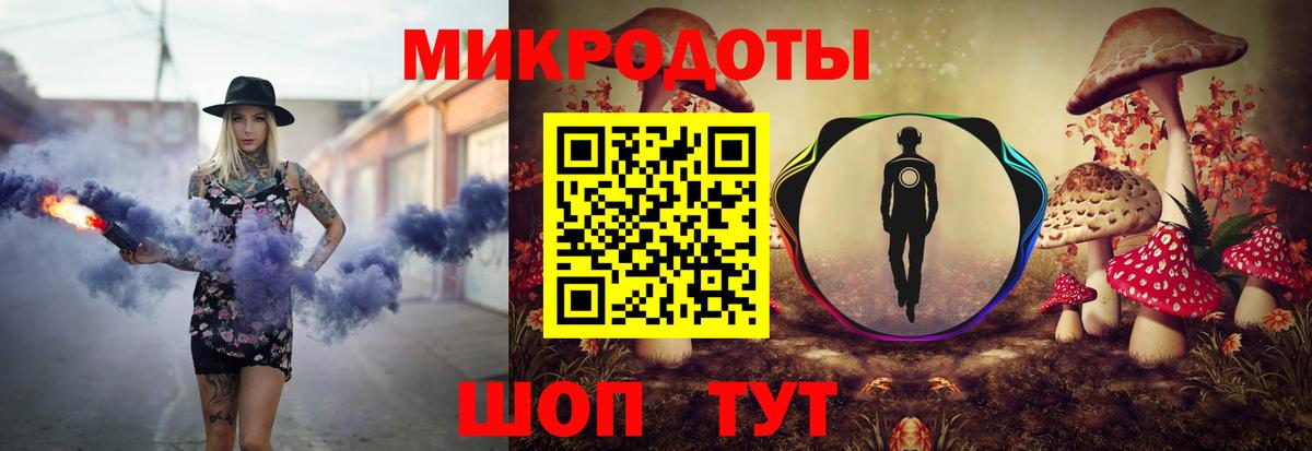 Тосно  Псилоцибиновые грибы прущие грибы  Вход с VPN 