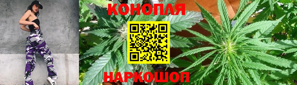 Бошки марихуана тримм  Шишки марихуана гибрид  Тосно  Вход с VPN  Конопля индика  Бошки Шишки Ganja 