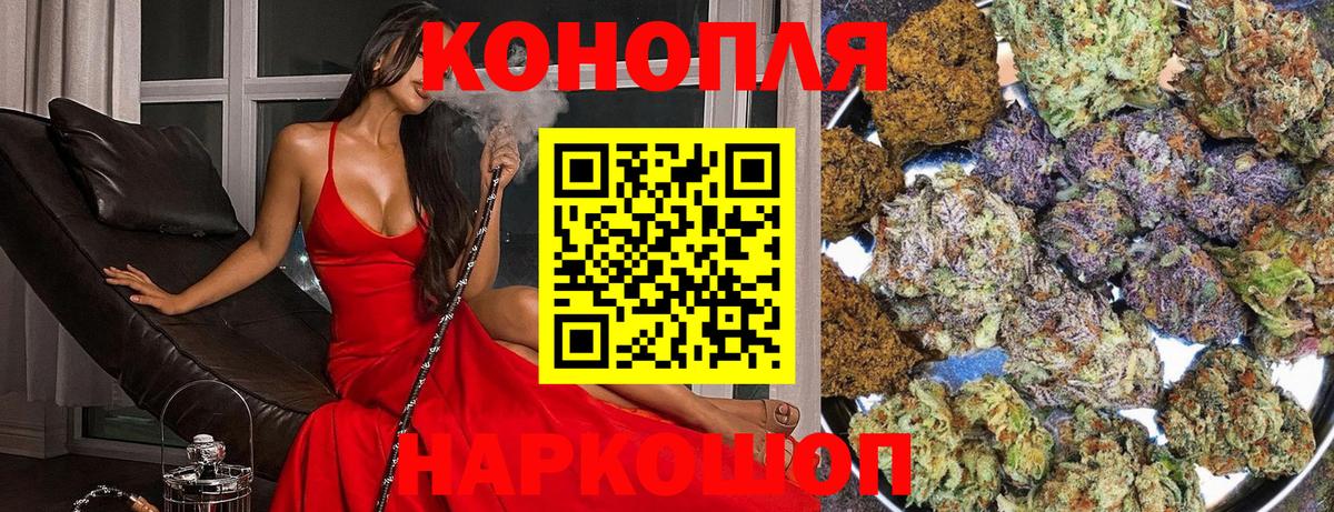 Бошки Шишки OG Kush Тосно